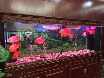 湖北螃蟹魚缸定做